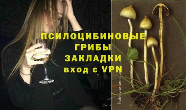 индика Вяземский